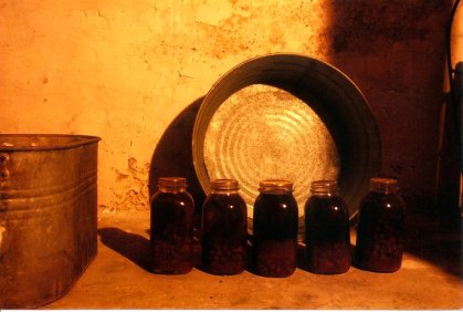 33616_484165190090_7491253_n