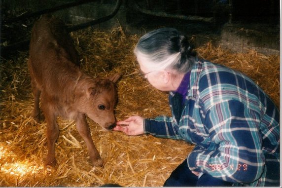 69406_484165800090_3298509_n